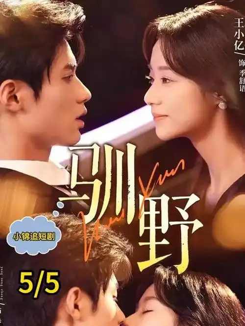 城市边缘线悬疑电视剧全集免费看